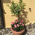 A Casa Di Titty Fiumicino