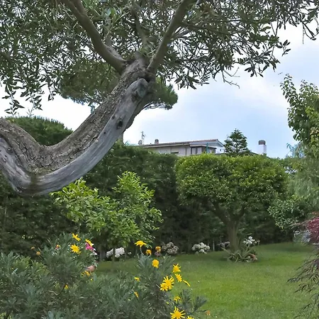 A Casa Di Titty B&B 피우미치노