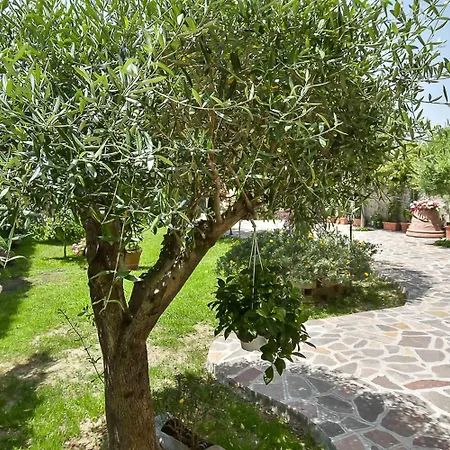 A Casa Di Titty Bed & Breakfast