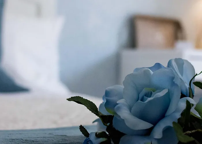 A Casa Di Titty B&B 피우미치노