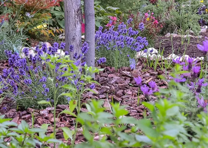 A Casa Di Titty 피우미치노